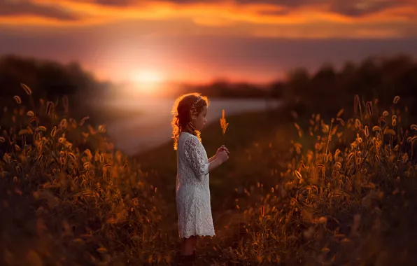 Picture field, sunset, girl, a blade of grass