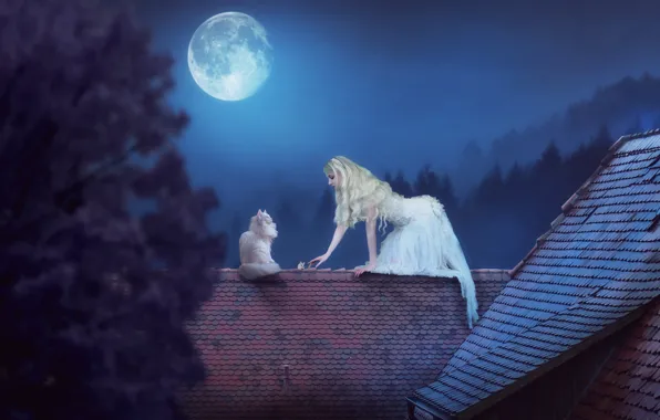 Picture girl, night, the moon, the situation, mouse, roof, on the roof, white cat