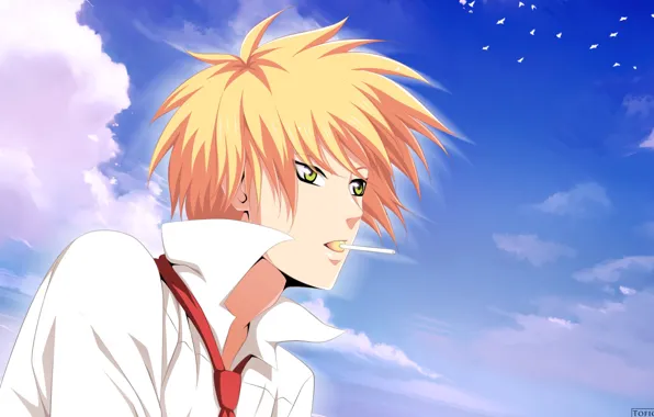 The sky, anime, guy, blonde