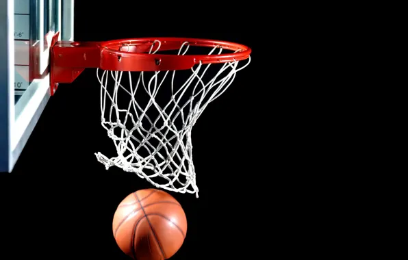 The ball, Basket, Basketball