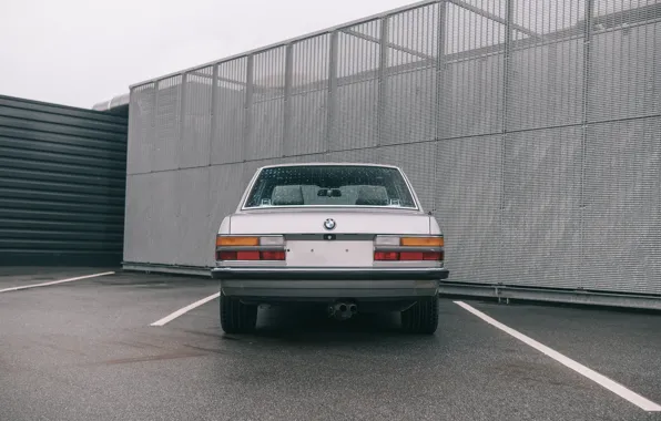 BMW, rear, E28, BMW M5