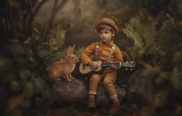 Forest, nature, stones, animal, vegetation, guitar, boy, rabbit