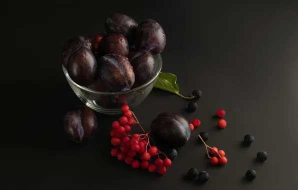 Berries, bowl, still life, plum