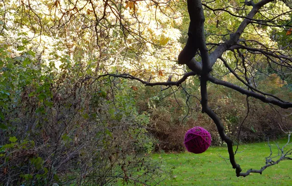 Autumn, grass, leaves, trees, landscape, branches, lilac, widescreen