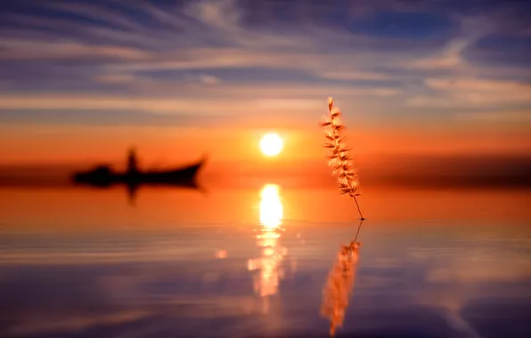 Water, the sun, reflection, boat, silhouette, a blade of grass