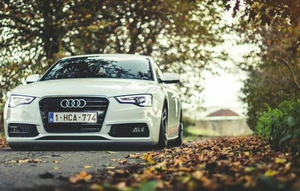 Audi, class, is a cool car, for a kid