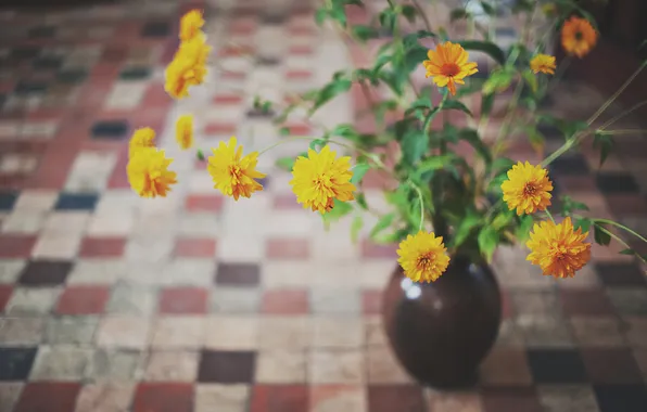 Picture flowers, yellow, petals, vase