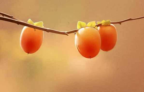 Branch, berry, art, the fruit, persimmon, persimmon