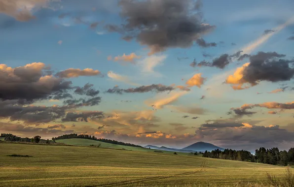 Field, the sky, landscape