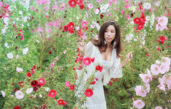 Picture flowers, dress, neckline, Brode十三