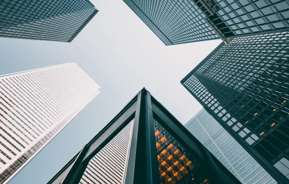 The city, Skyscrapers, Building, The building, City, Architecture, Skyscraper, Building