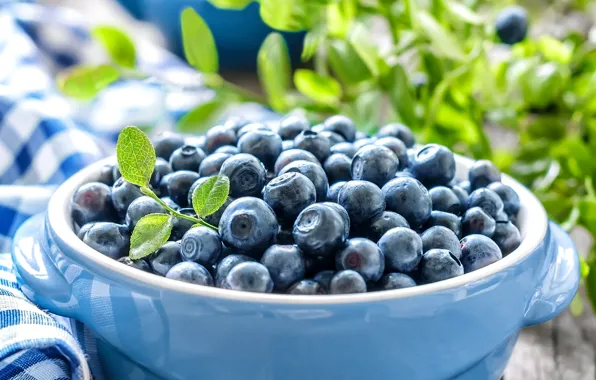 Picture leaves, berries, blueberries, dishes, blueberries