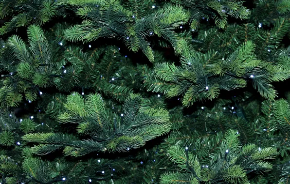 Background, garland, Christmas tree