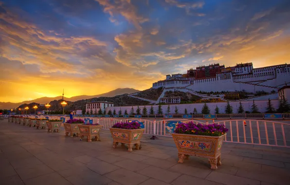 Flowers, Tibet, Palace