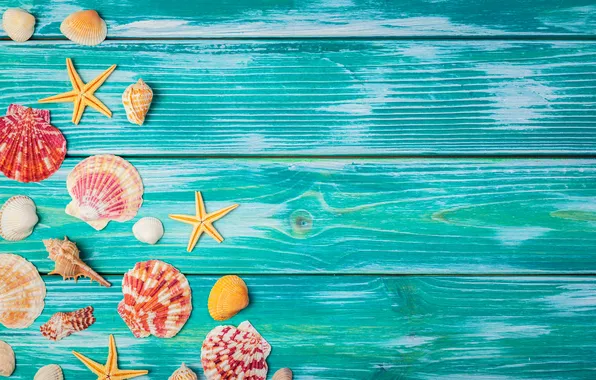 Beach, summer, stars, shell, summer, beach, wood, stars