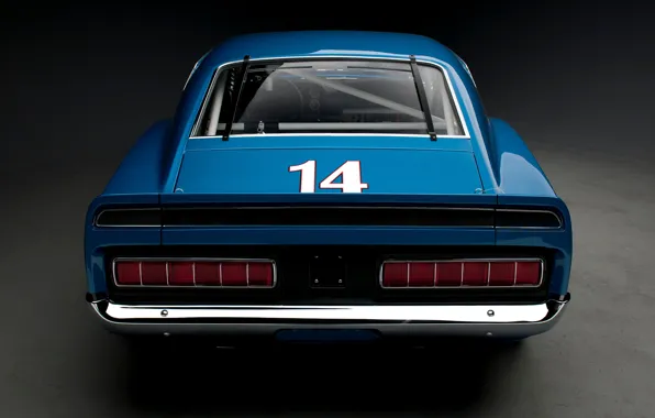 Picture Shelby, rear, GT350, 1969 Shelby GT350