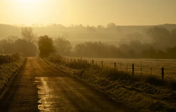 Road, fog, morning