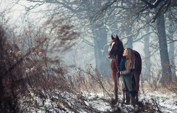 Winter, forest, girl, trees, horse