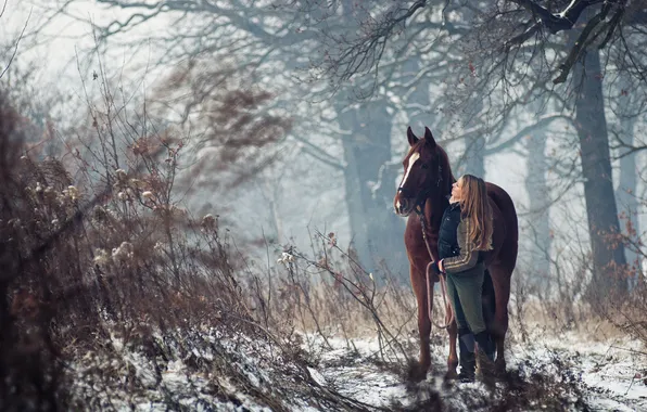 Picture winter, forest, girl, trees, horse