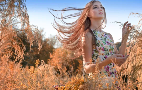 Summer, girl, light, walk, basket