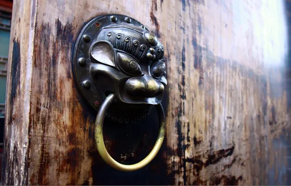 Ring, The door, gin