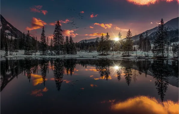 Picture winter, forest, the sky, sunset, mountains, birds, lake, reflection