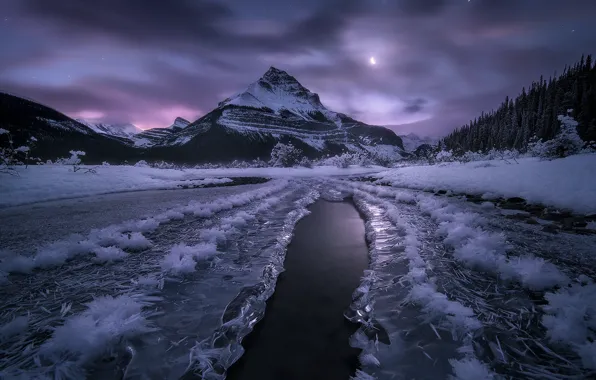 Winter, forest, the sky, clouds, snow, mountains, night, lake