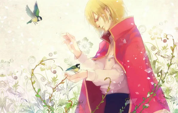 Picture flowers, birds, plants, guy, howl, Howl's moving castle, Howl's Moving Castle, Howl