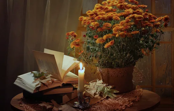 Leaves, flowers, table, fire, books, candle, vase, still life