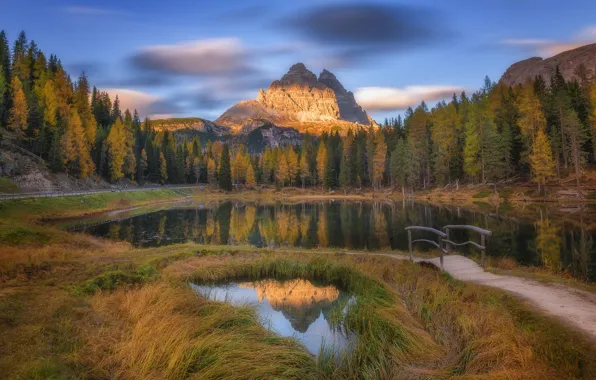 Autumn, forest, the sky, grass, clouds, light, mountains, lake