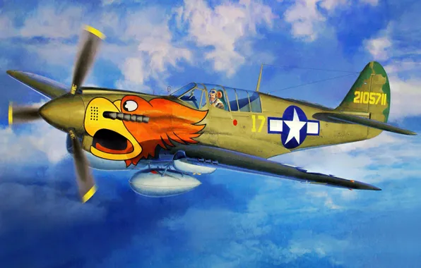 Picture fighter, war, art, airplane, painting, P-40N Warhawk `The 502nd FS`