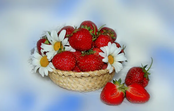 Picture flowers, mood, chamomile, beauty, strawberry, basket, beautiful, beautiful