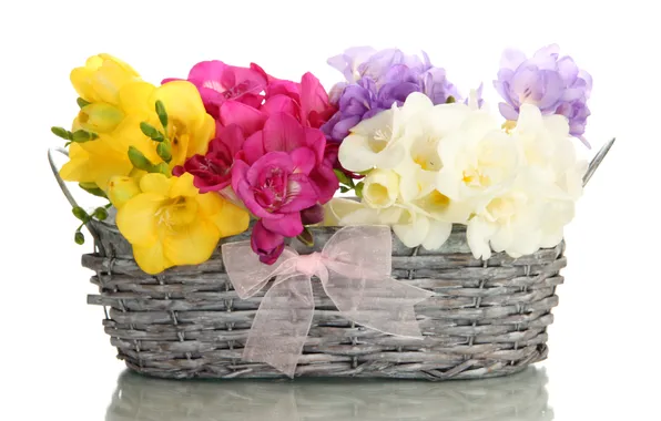 Picture flowers, basket, bouquet, bow