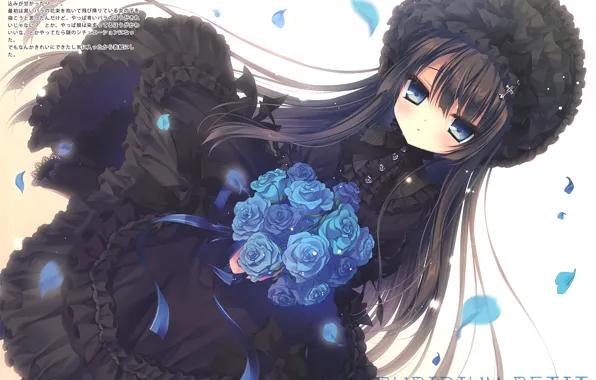 Petals, characters, black dress, long hair, ruffles, blue roses, bangs, thingies