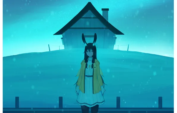 Girl, snow, house, ears