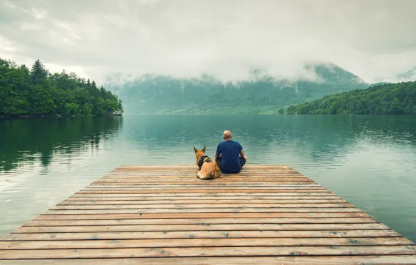 Peace, landscape, wood, dog, dock