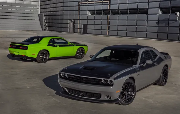 Dodge, Challenger, cars, cars, auto, wallpapers, T/A, T/A 392