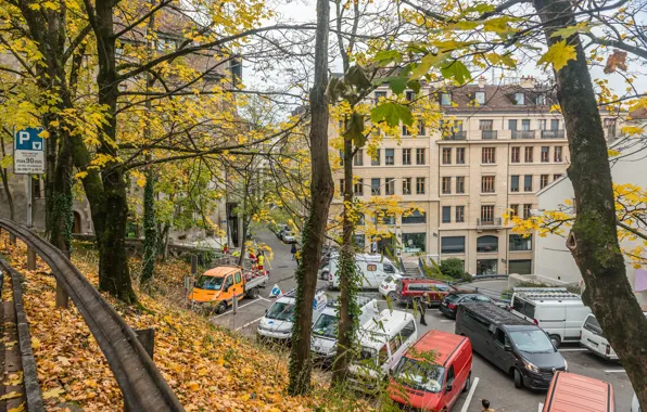 Autumn, Switzerland, Fall, Foliage, Switzerland, Autumn, Geneva, Falling leaves