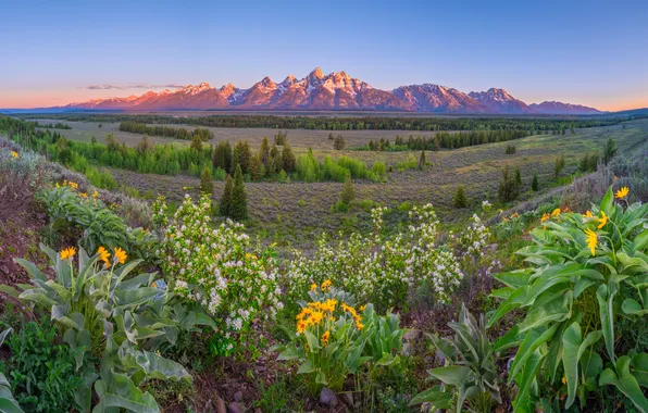 Mountains, Panorama, USA, Landscape, Grand Teton National Park, Parks