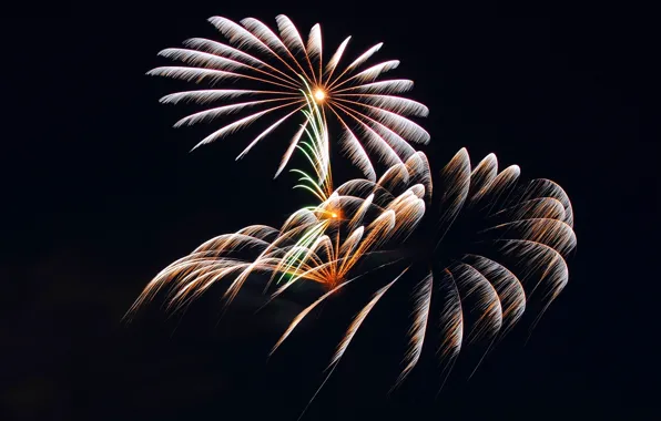 Night, salute, fireworks