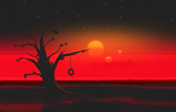 Sunset, The sun, The sky, Tree, Stars, Fantasy, Sky, Stars