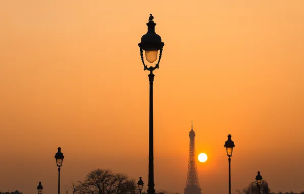 Picture bird, Paris, lights