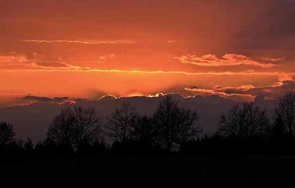 The sky, trees, landscape, sunset