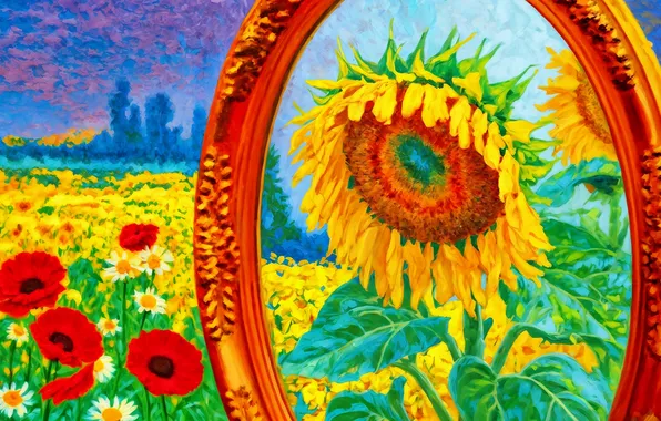 Field, summer, leaves, nature, reflection, blue, Maki, sunflower