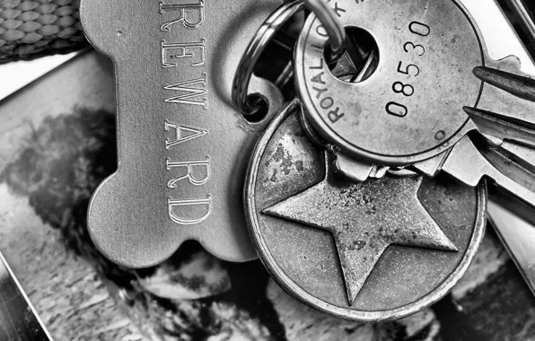 Macro, background, keys