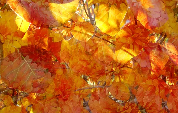 Picture autumn, leaves, line, nature, paint