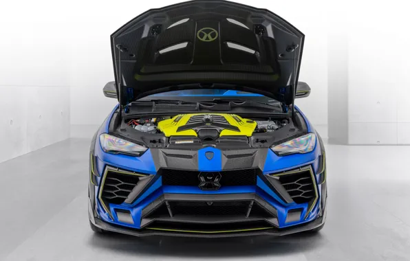 Picture Lamborghini, Mansory, 2020, urus, Lamborghini Urus Venatus