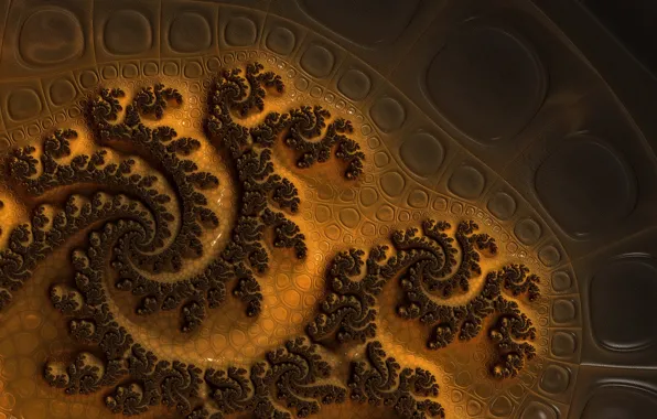 Abstraction, pattern, fractals, fractal, ornament, abstract background