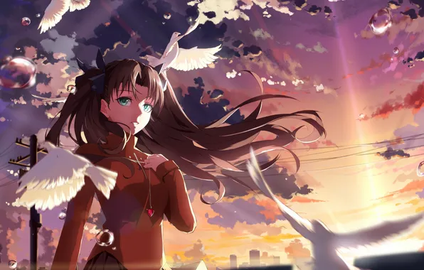 Picture the sky, girl, clouds, sunset, birds, anime, art, fate stay night