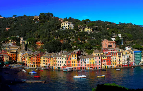 Picture the city, photo, coast, home, Italy, Portofino, Liguria